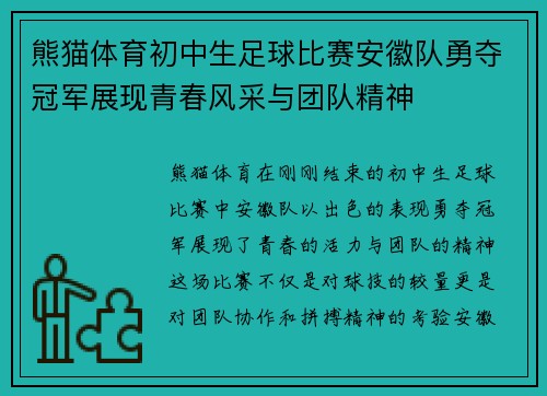 熊猫体育初中生足球比赛安徽队勇夺冠军展现青春风采与团队精神